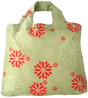 eco-friendly-bag