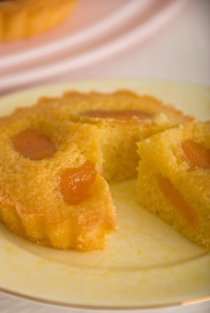 amaretto-apricots-cake close up