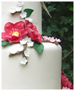 Japonica - click to enlarge