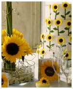 Sun Flowers - click to enlarge