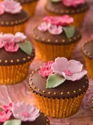 pink-blossom-and-chocolate-wedding-cupcakes